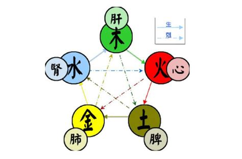 五行 火 金|五行（对万事万物的取象比类）